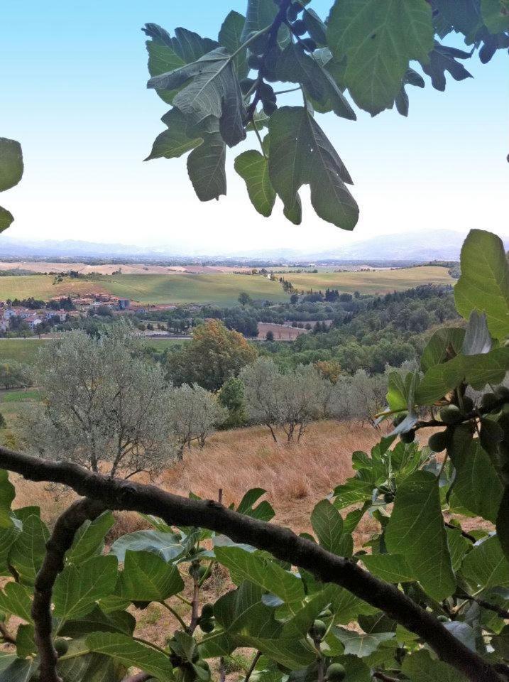 Vila Agriturismo Il Palazzaccio Galliano Exteriér fotografie