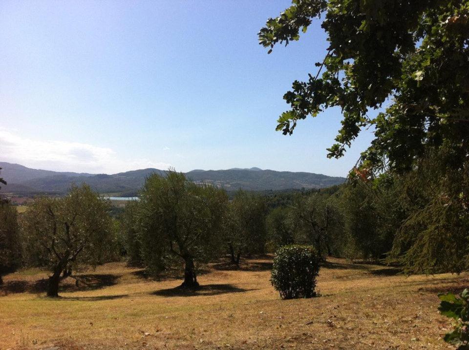 Vila Agriturismo Il Palazzaccio Galliano Exteriér fotografie
